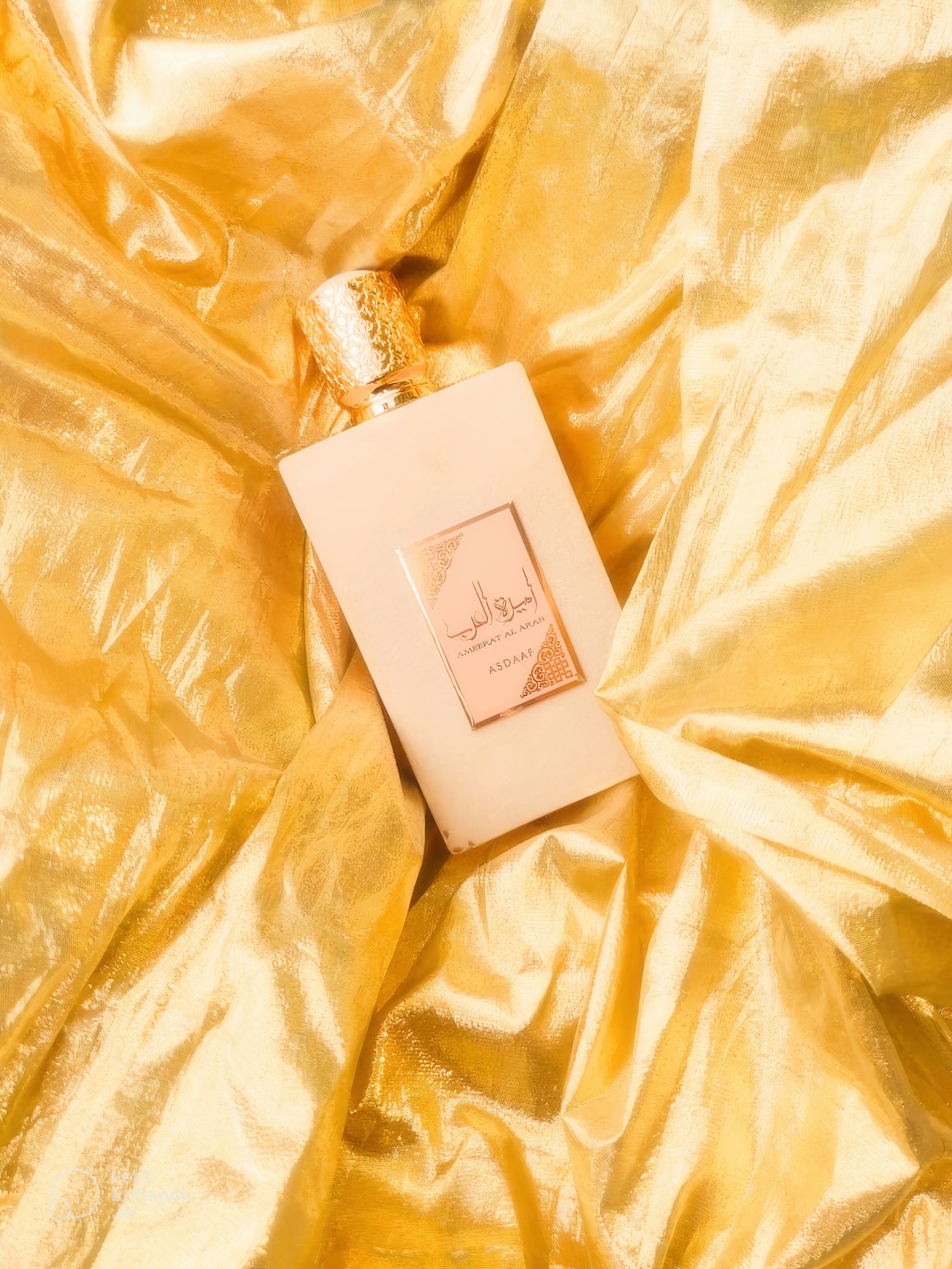 Top 5 Must-Have Fragrances for Men